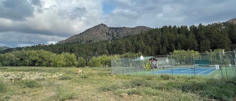 Terrain de sport
