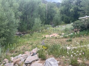 A natural landscape with a variety of trees and shrubs, a small stream, and a rocky area with some flowers. - River/Mountain Getaway-Private, Large,In-Law Suite (Jamestown)