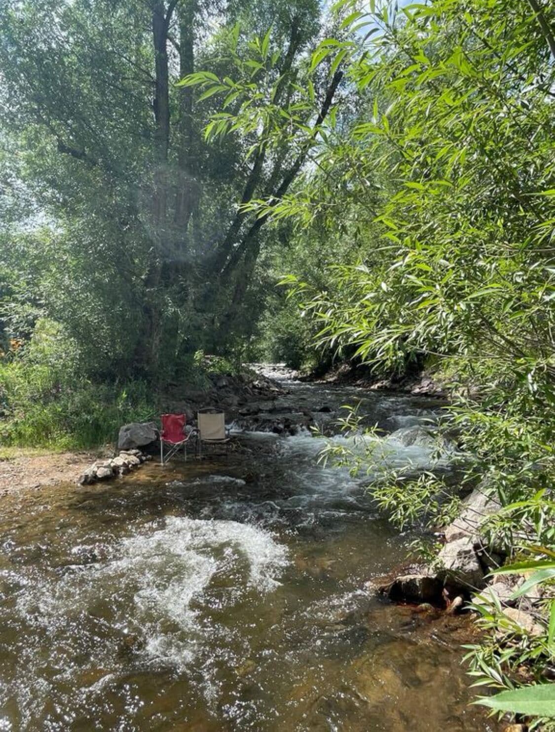 A natural stream with rocks and vegetation.