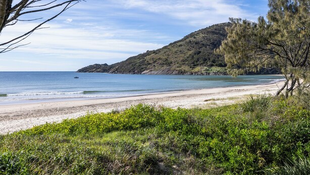 A beach with a clear view of the ocean, a sandy shore, and a hill in the background. - Beach Break - 22 Bay St Hat Head (Hat Head)