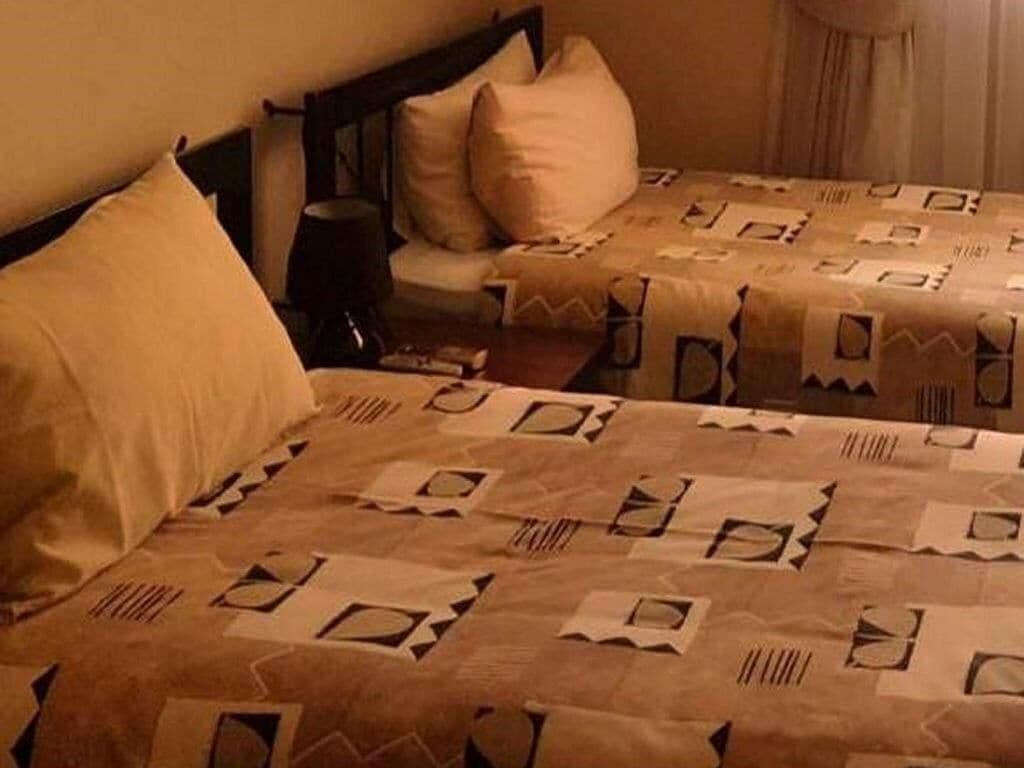 Una habitación con dos camas, cada una con colcha y almohadas estampadas.