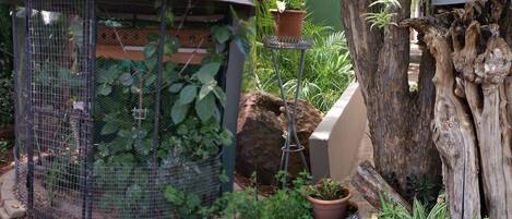 Un jardín con cerramiento de malla metálica, plantas en macetas y un tronco de árbol.
