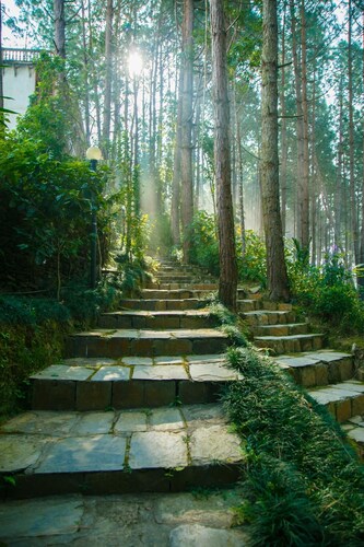 Bandipur Mountain Resort