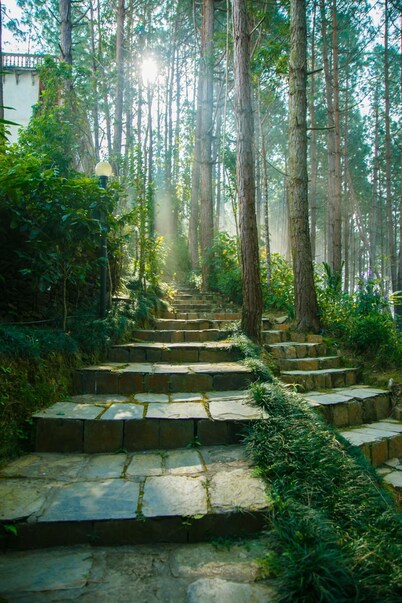 Bandipur Mountain Resort