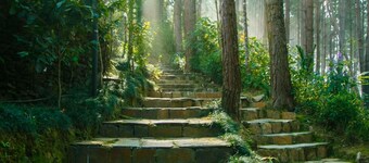 Bandipur Mountain Resort