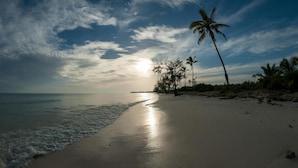 A beach with palm trees and a calm sea under a partly cloudy sky.