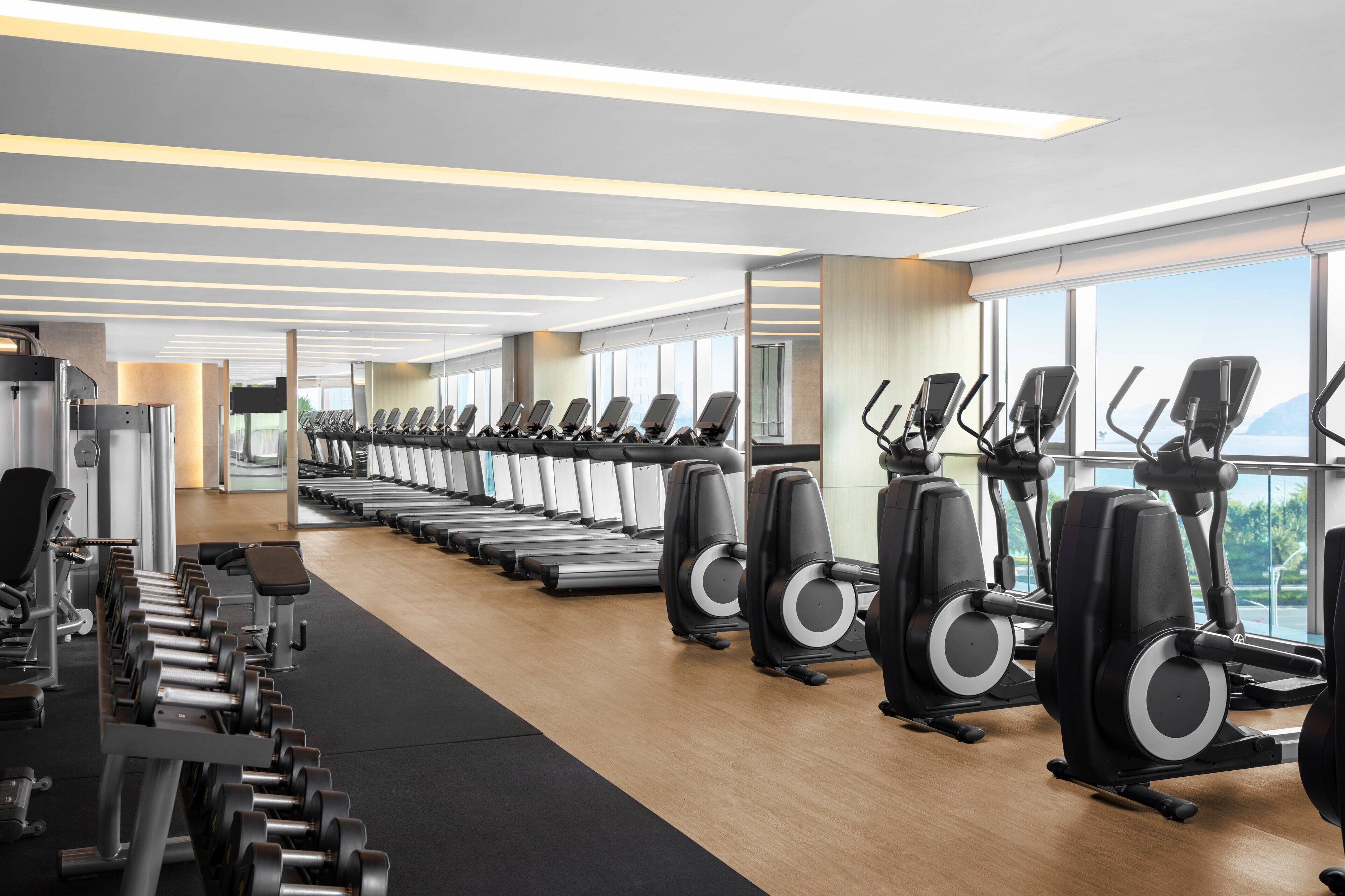 Un gimnasio con cintas de correr y mancuernas dispuestas en filas.