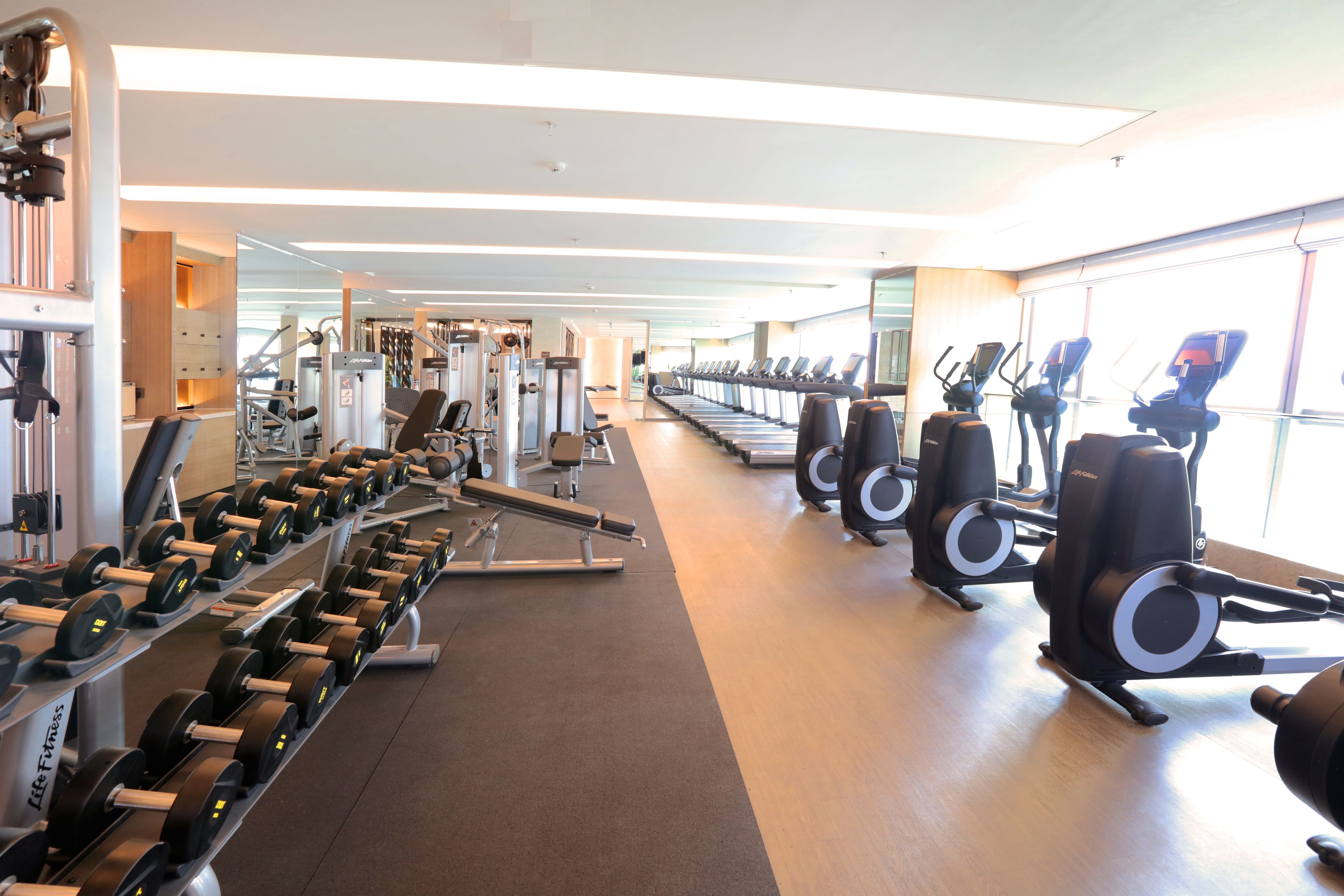 A gym with treadmills, elliptical machines, and weight machines.