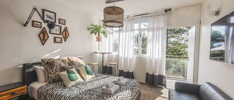 Studio Confort (Designer Compact)