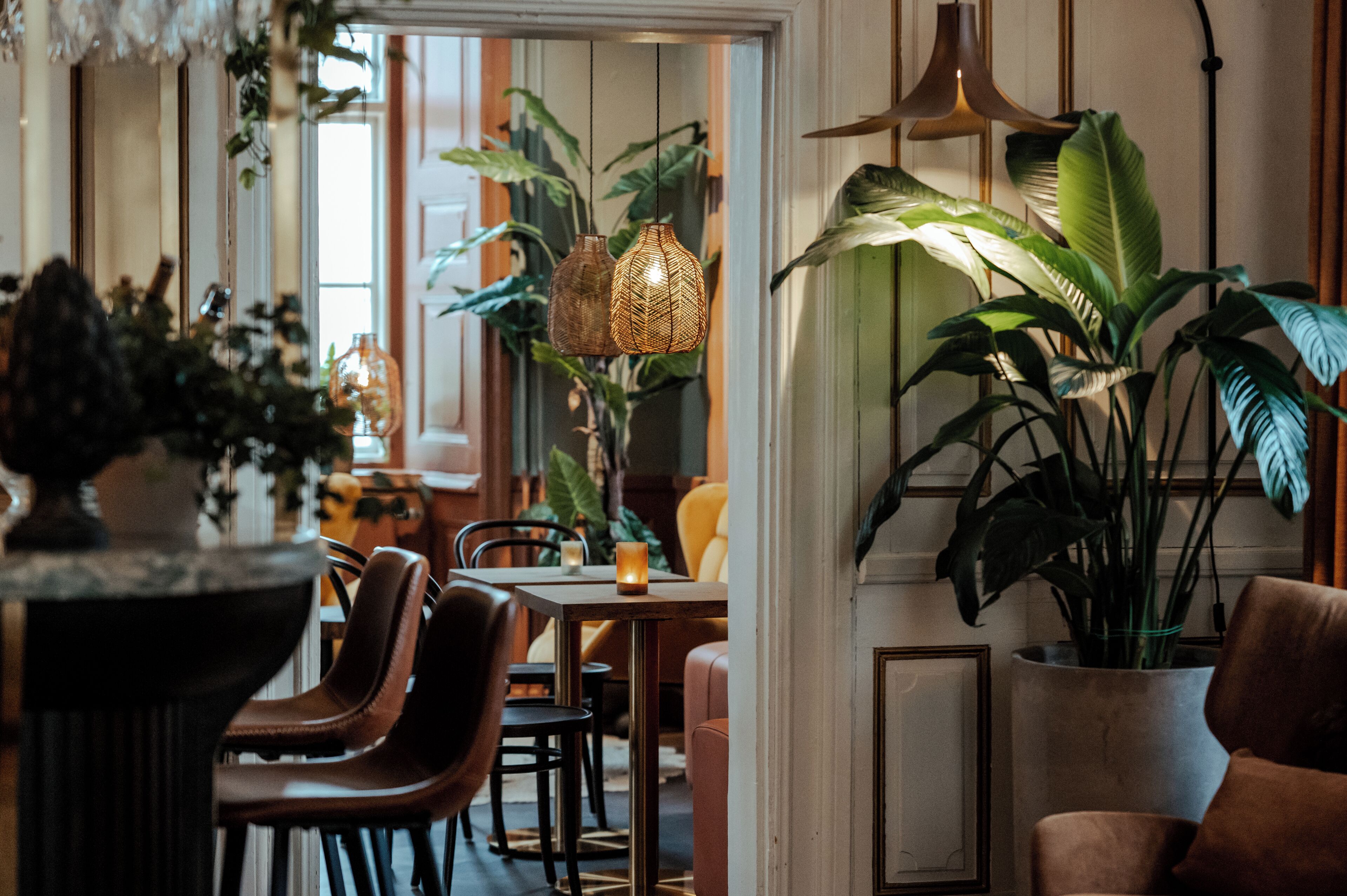 A cozy dining area with wooden chairs, a table, hanging wicker lamps, and large green plants.