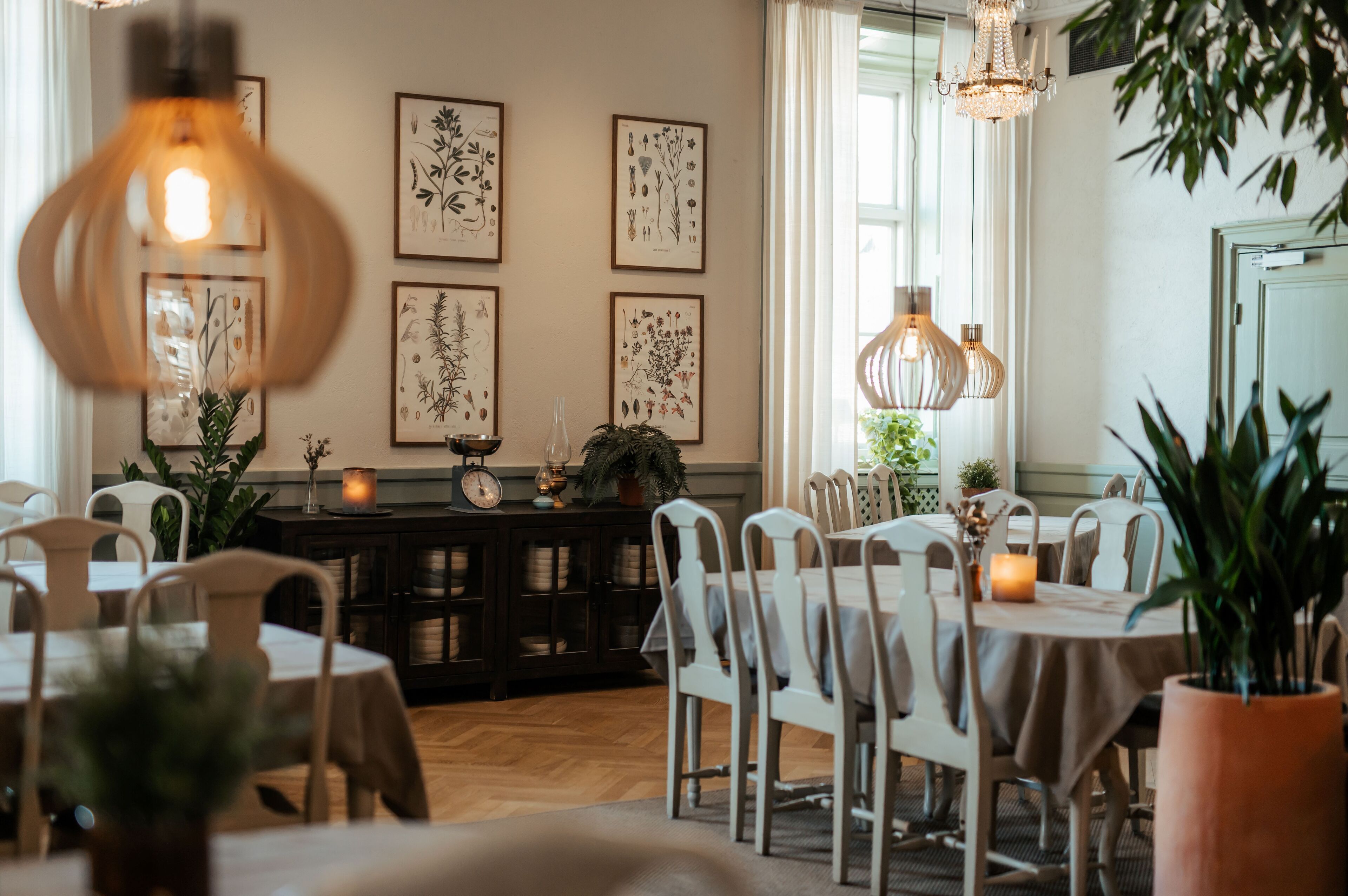 Un coin repas avec une table ronde, des chaises blanches et un buffet en bois foncé orné, sur le mur, de reproductions encadrées de gravures botaniques.