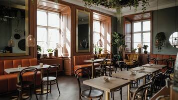 Un restaurante con cabinas, mesas y plantas colgantes.