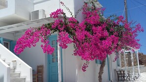 Un edificio blanco con una puerta azul y flores rosas.