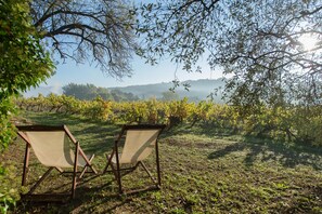 Property grounds - Mas de Foncaudette (Puyvert)