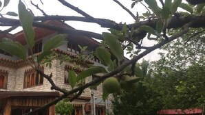 A stone building with traditional architecture, a tree with green leaves, and outdoor seating. - Ngayabling Resort (Paro)