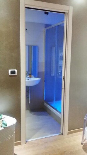 Shower, free toiletries, hair dryer, bidet