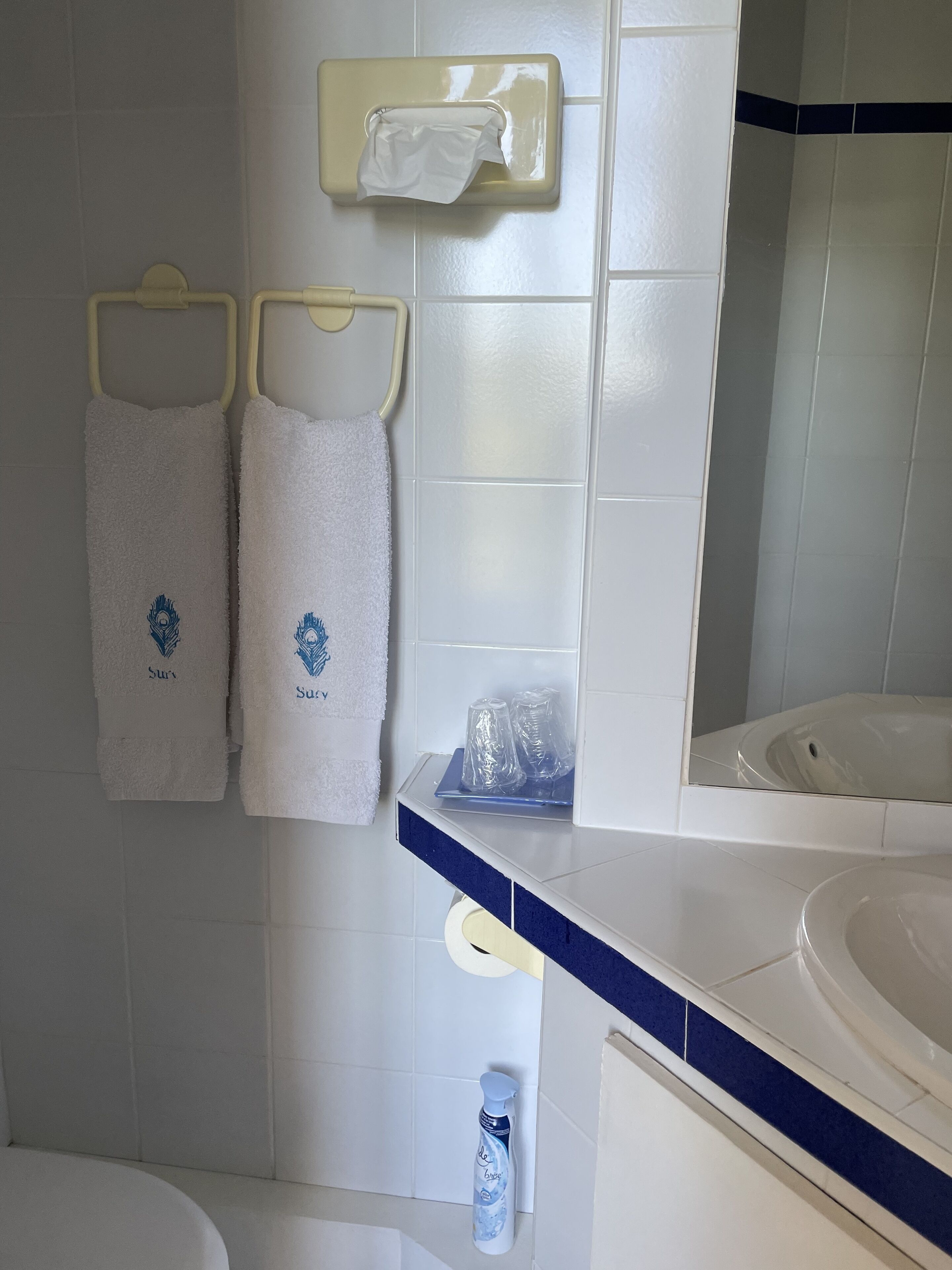 A bathroom with two towels hanging on hooks, a tissue dispenser, a sink, and a mirror.