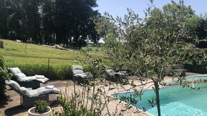 Zona de piscina con sillas de descanso y un pequeño árbol.