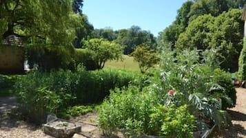 Jardin