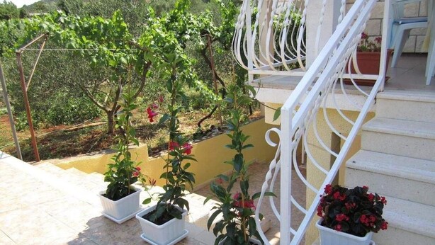 A staircase with white railings leading to a yellow wall, surrounded by potted plants with red flowers. - Apartments Biocic (Korcula)