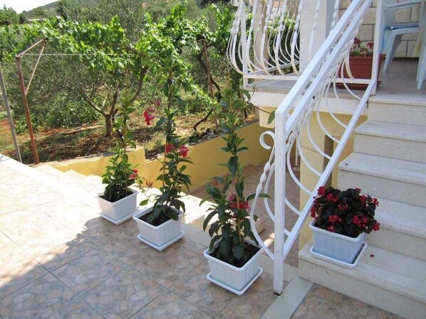 Property entrance - Apartments Biocic (Korcula)