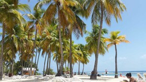 Beach - Locastudio "Corossol", tranquil stay close to the sea (Sainte-Anne)