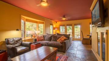 TV, fireplace, DVD player, books