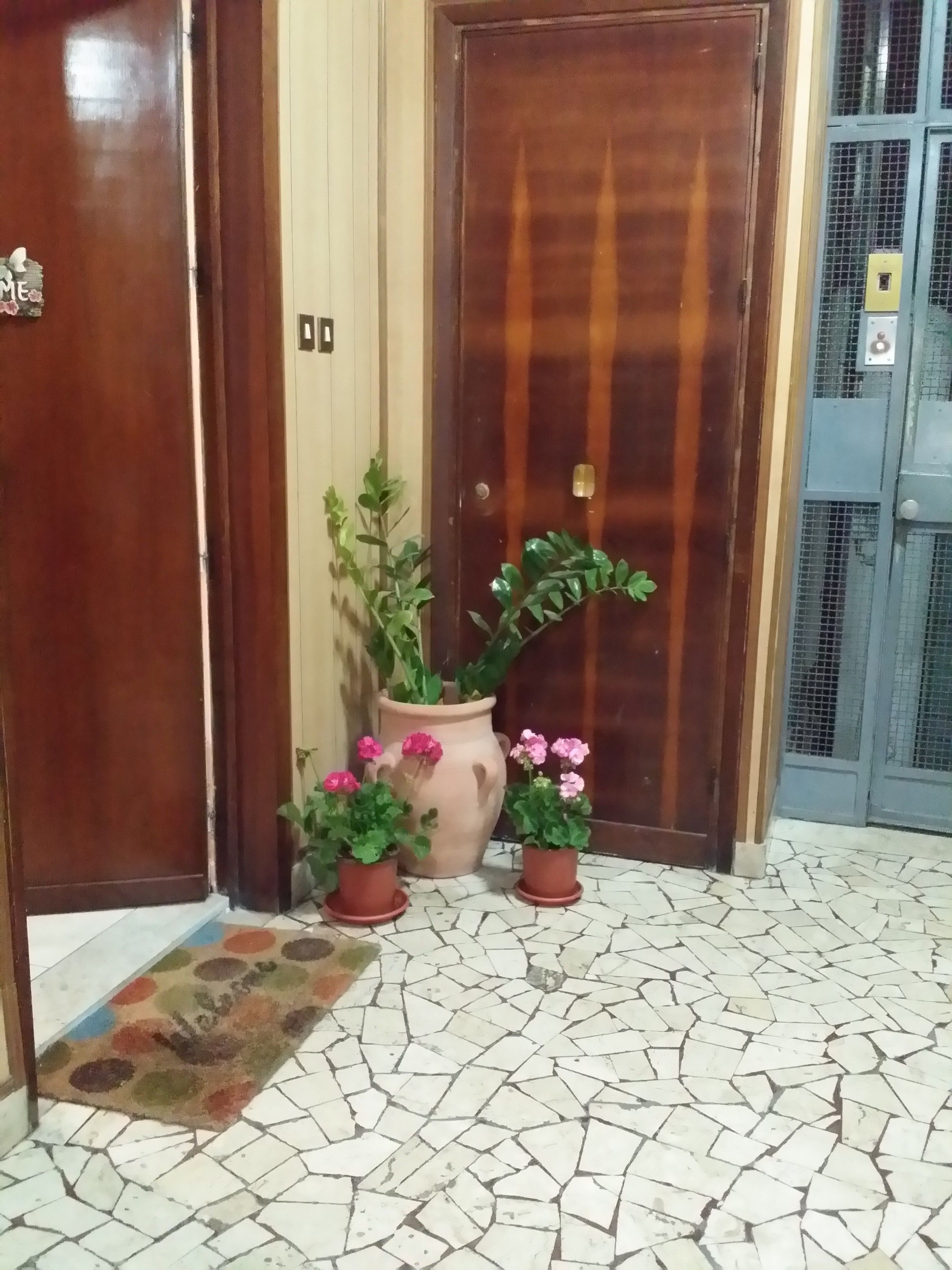 A wooden door with a brass handle, a potted plant with pink flowers, and a tiled floor with a patterned rug.