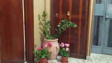 A wooden door with a brass handle, a potted plant with pink flowers, and a tiled floor with a patterned rug.