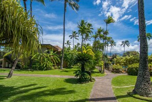 Property grounds - Oceanfront 2bd, lanai with Kaanapali pool views (Lahaina)