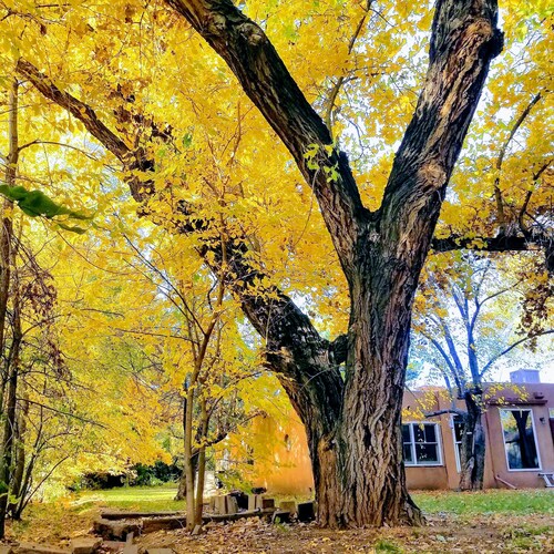 North Valley Retreat