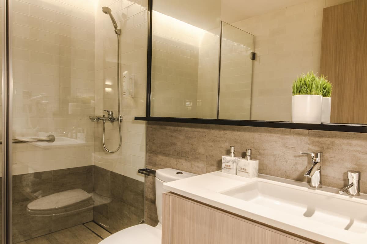 shower, free toiletries, hair dryer, slippers