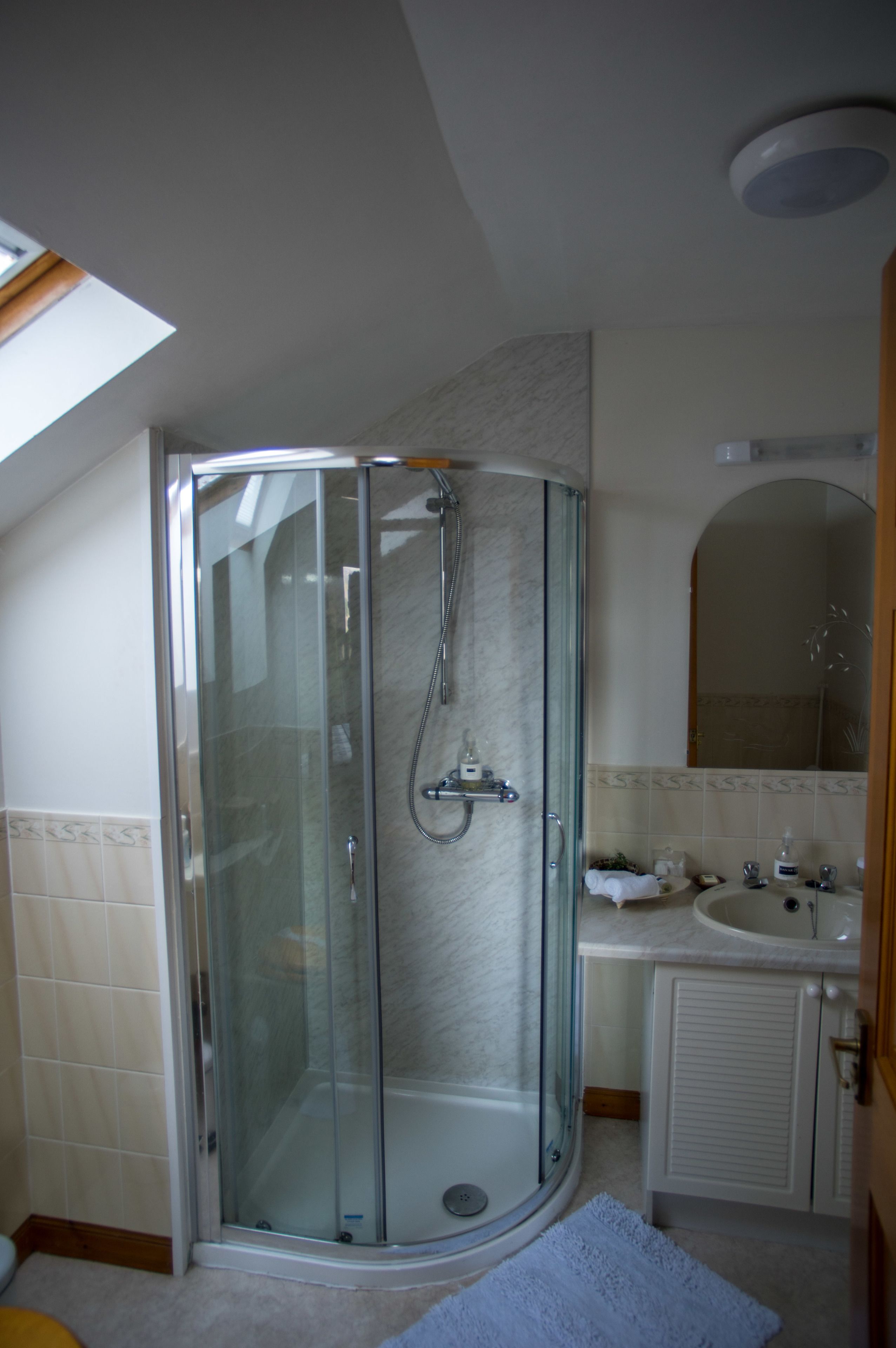 A modern bathroom with a glass-enclosed shower, a sink, and a mirror.