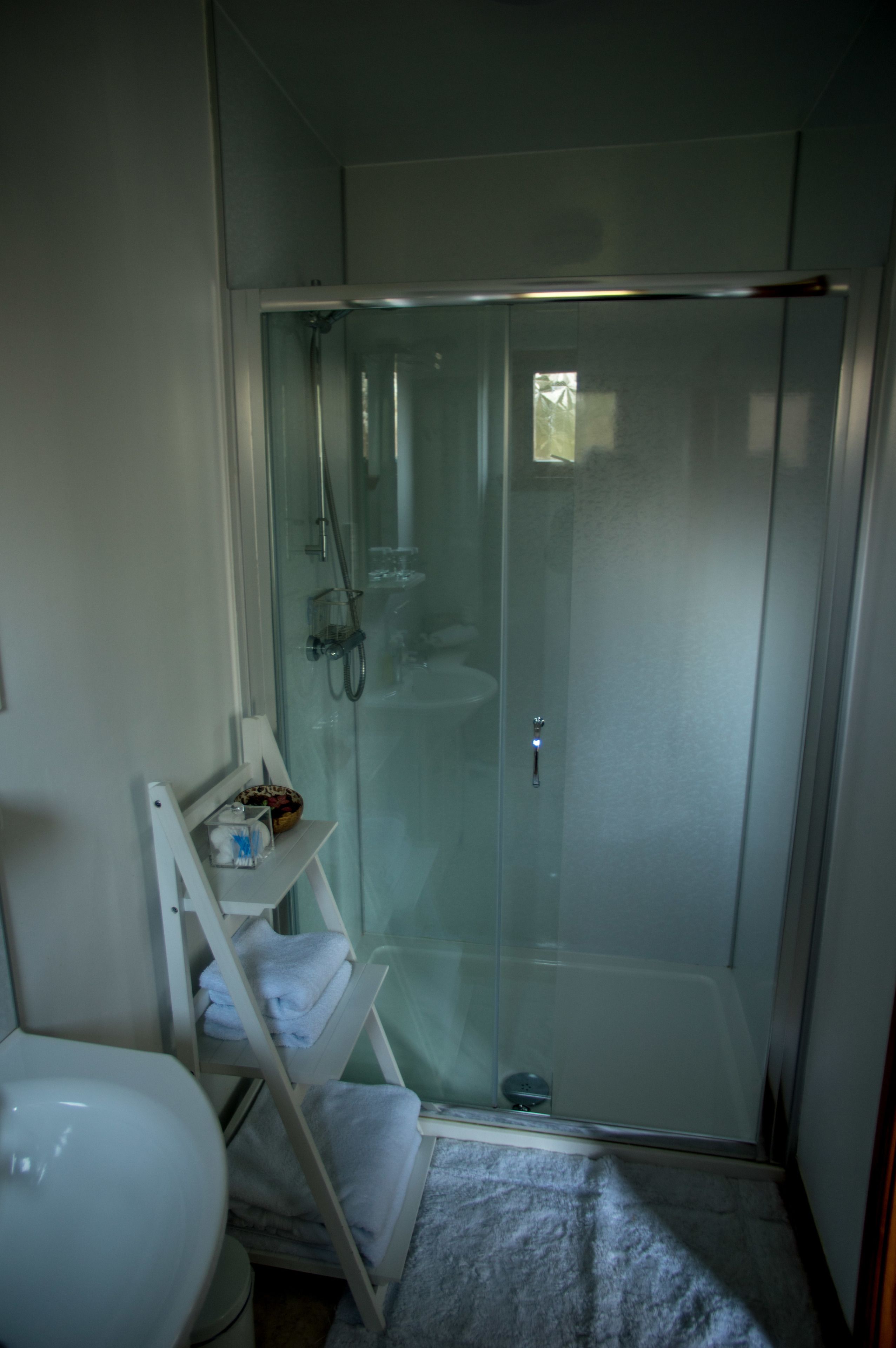 A small, modern bathroom with a glass-enclosed shower, a white toilet, and a shelf with towels.
