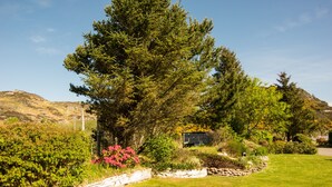 A garden with a large tree, a stone wall, and a grassy area.