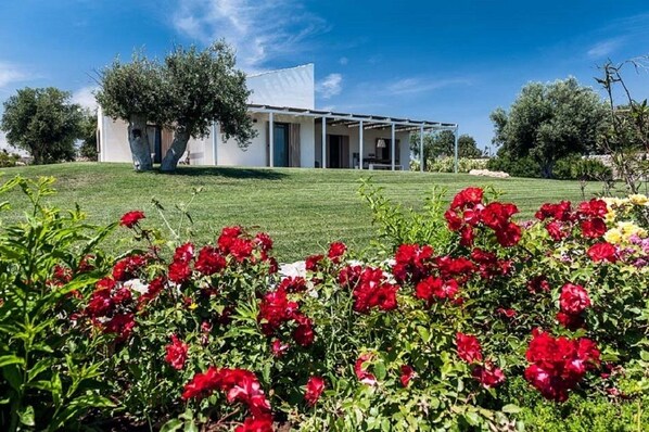 Jardin
