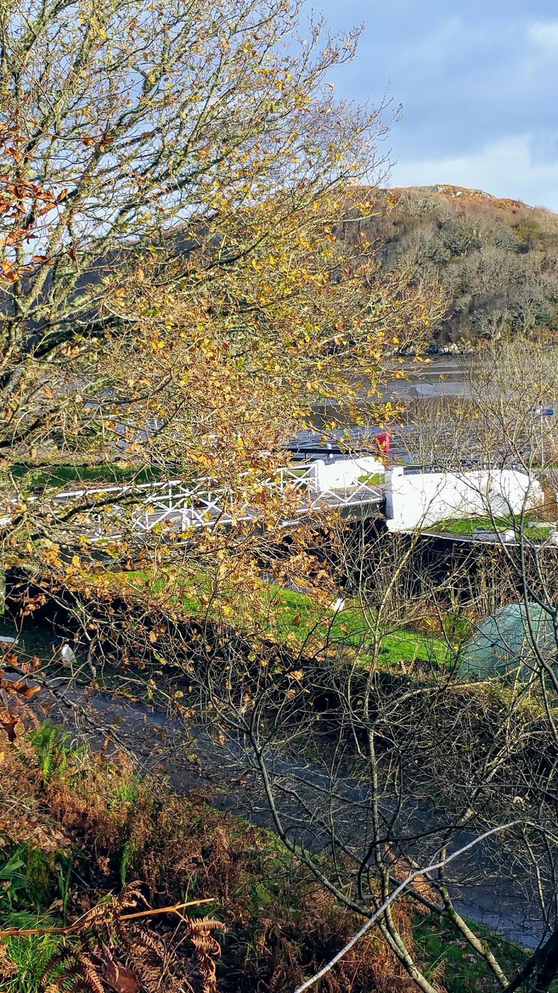 A riverbank with dense foliage and a white structure, possibly a bridge or dock, in the background.