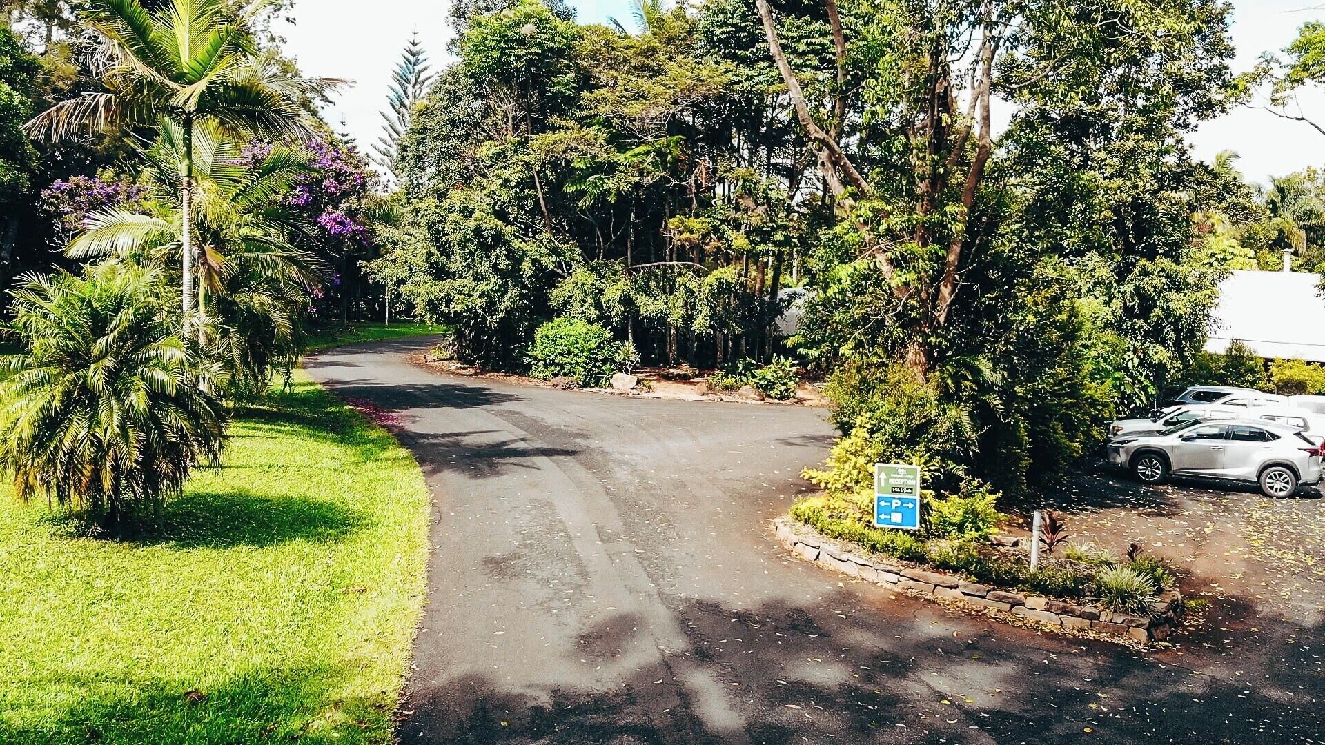 Una carretera sinuosa con un área de estacionamiento a la derecha, rodeada de abundante vegetación y árboles.