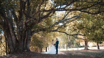 A couple standing under a large tree in a park.