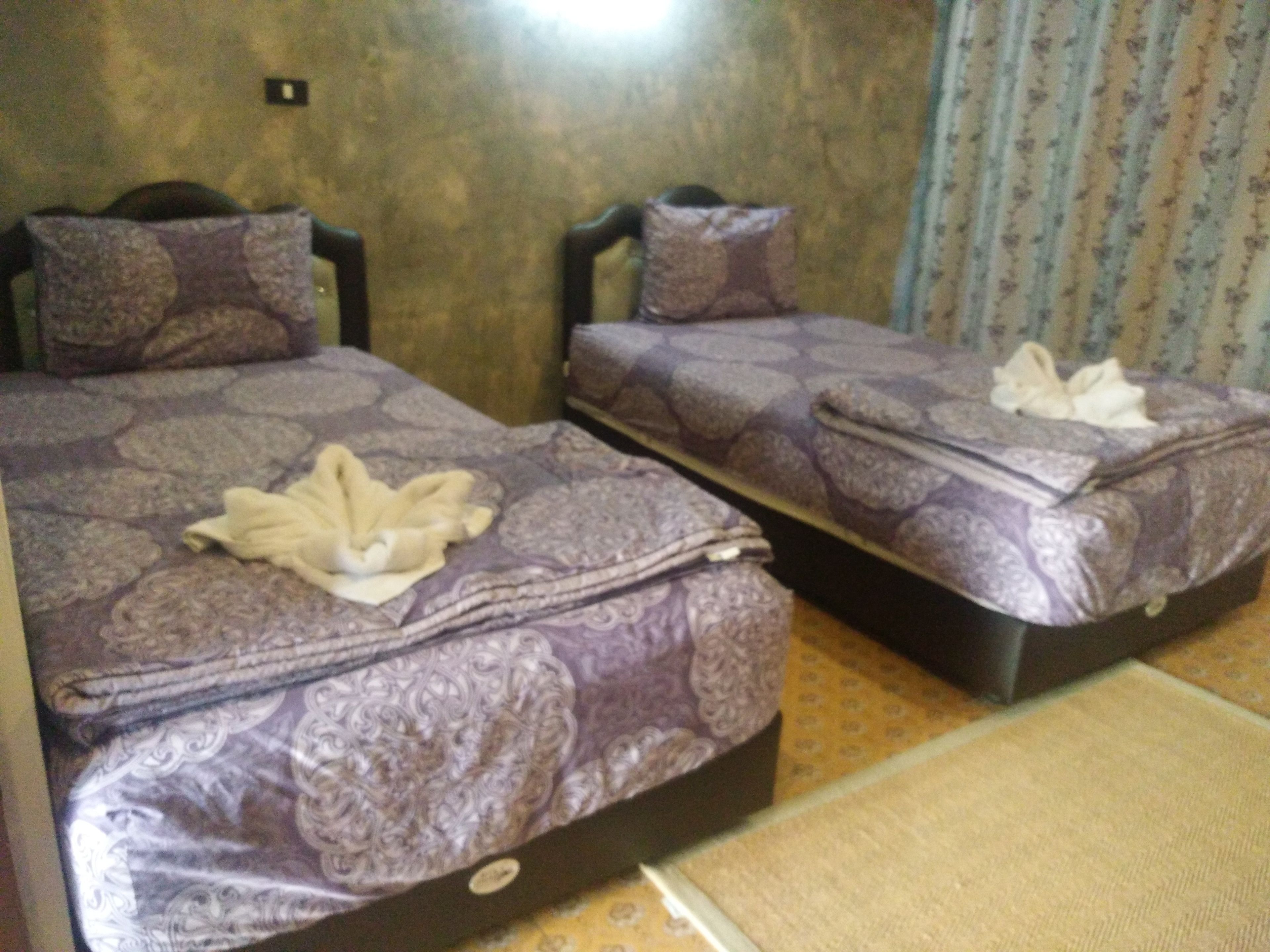Dos camas con ropa de cama y almohadas estampadas, una alfombra pequeña y una pared lisa con un interruptor de luz.