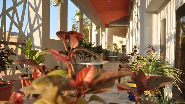Interior - Pink Elephant (Jaipur)