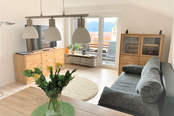 Apartamento, 1 habitación, no fumadores, balcón | Zona de estar | Una televisión de pantalla plana