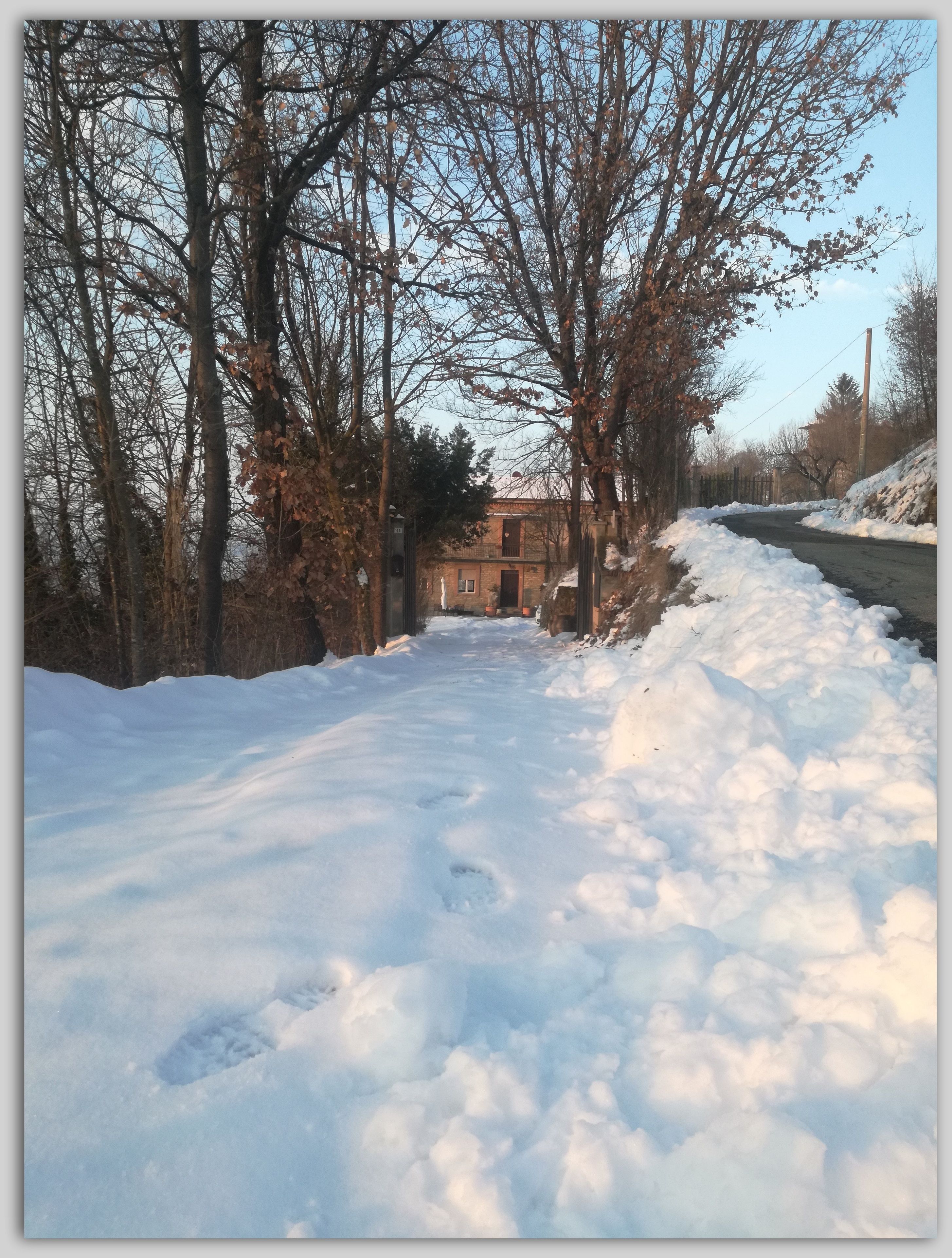 A snow-covered path leading to a building with a brick facade, surrounded by leafless trees and a clear sky.
