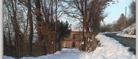 A snow-covered path leading to a building with a brick facade, surrounded by leafless trees and a clear sky.