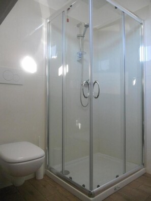 A glass-enclosed shower with a toilet to the left. - Oleaclub Locazione Turistica (Maser)