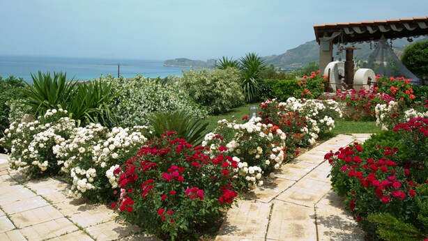Unclassified image, 1 of 85, button - Kavousi Resort (Kissamos)
