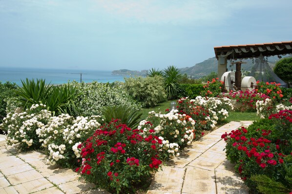 المنطقة المحيطة بالمنشأة