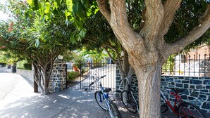 Een trottoir met bomen langs de rand, met fietsen tegen een stenen muur geleund.