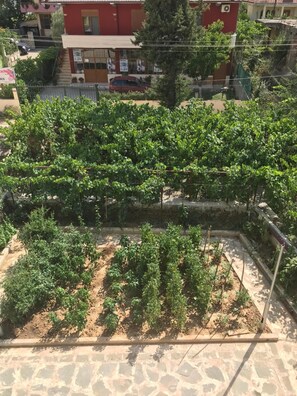 Free daily full breakfast