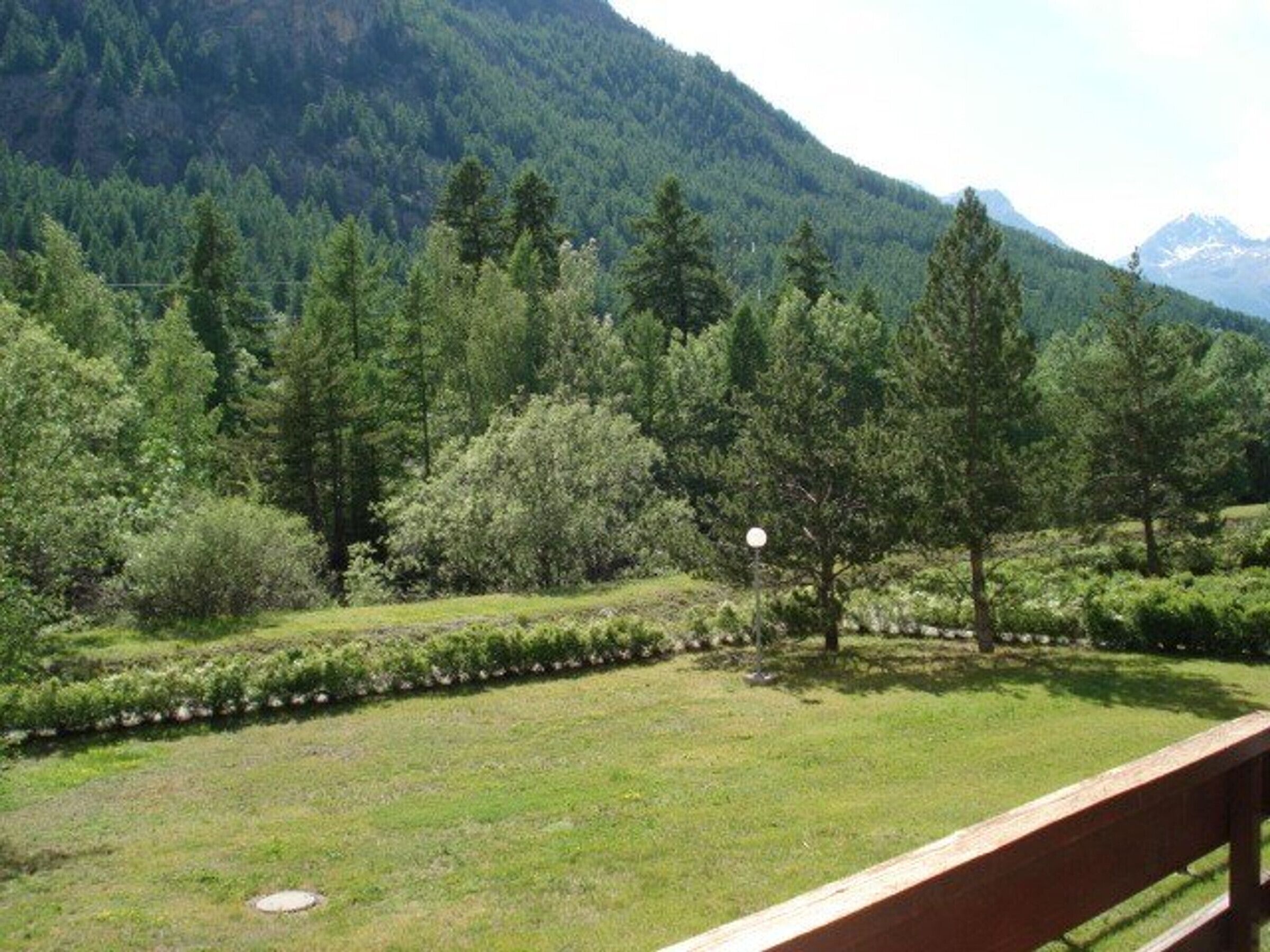 A grassy area with trees and a mountain in the background.